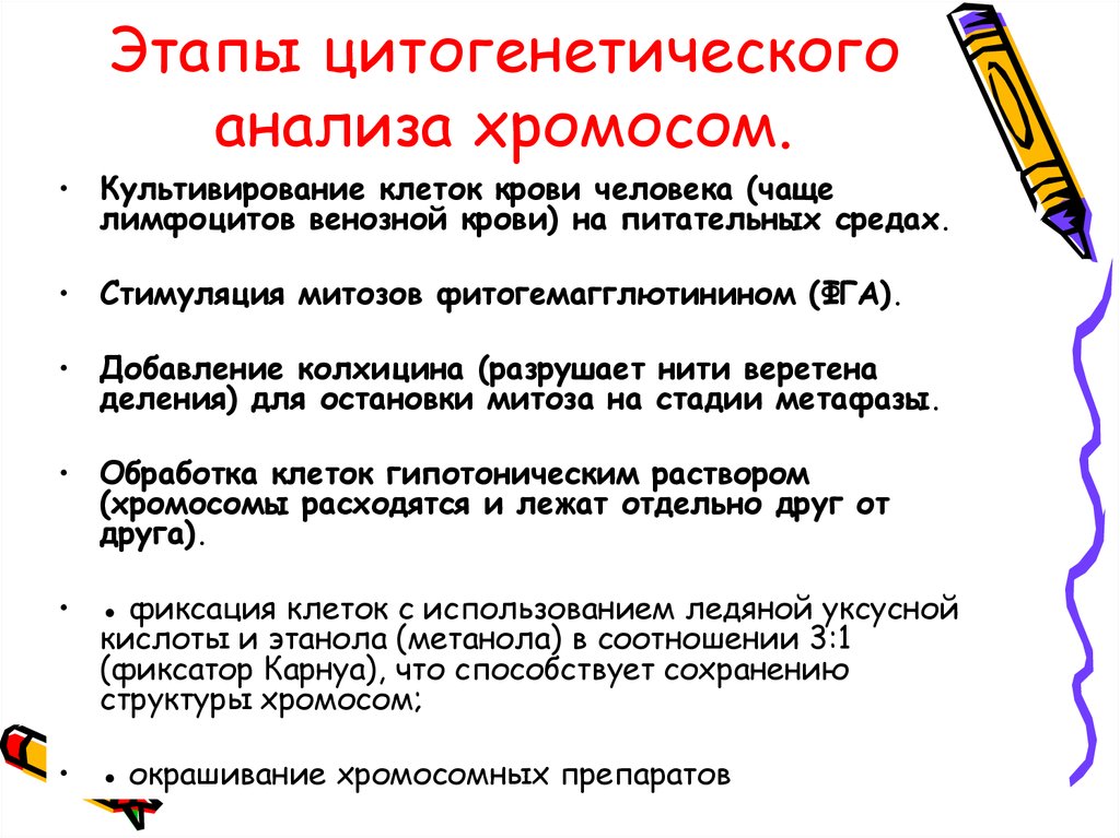 Особенности флуоресцентной гибридизации и флуоресцентной стереомикроскопии | Обзор метода FISH