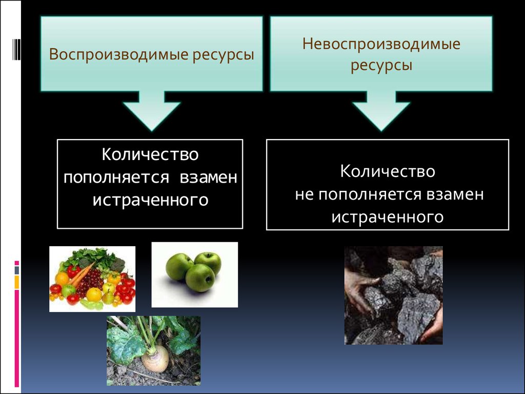 К природным ресурсам можно отнести