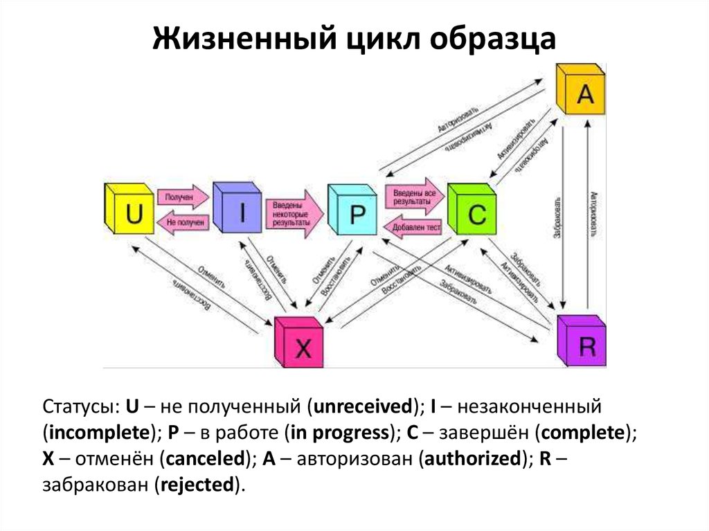 Жизненный цикл пример. Жизненный цикл образца. Жизненный цикл образца в лаборатории. Жизненный цикл системы хранения данных.