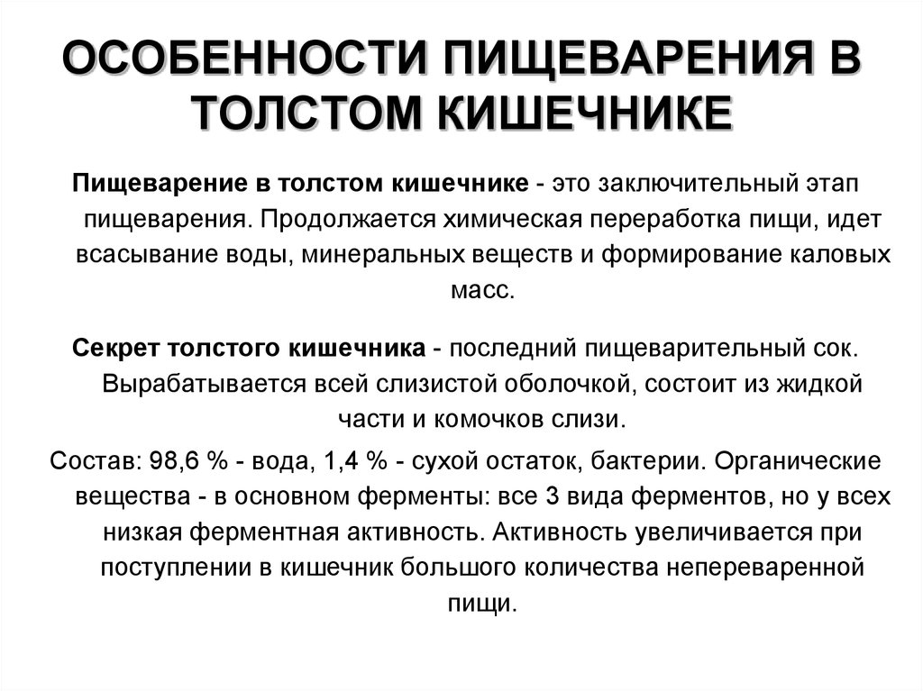 Особенности пищеварения. Характеристика процесса пищеварения в толстом кишечнике. Пищеварение в толстом кишечнике физиология кратко. Пищеварение в толстой кишке физиология кратко. Процесс пищеварения в толстом кишечнике кратко.