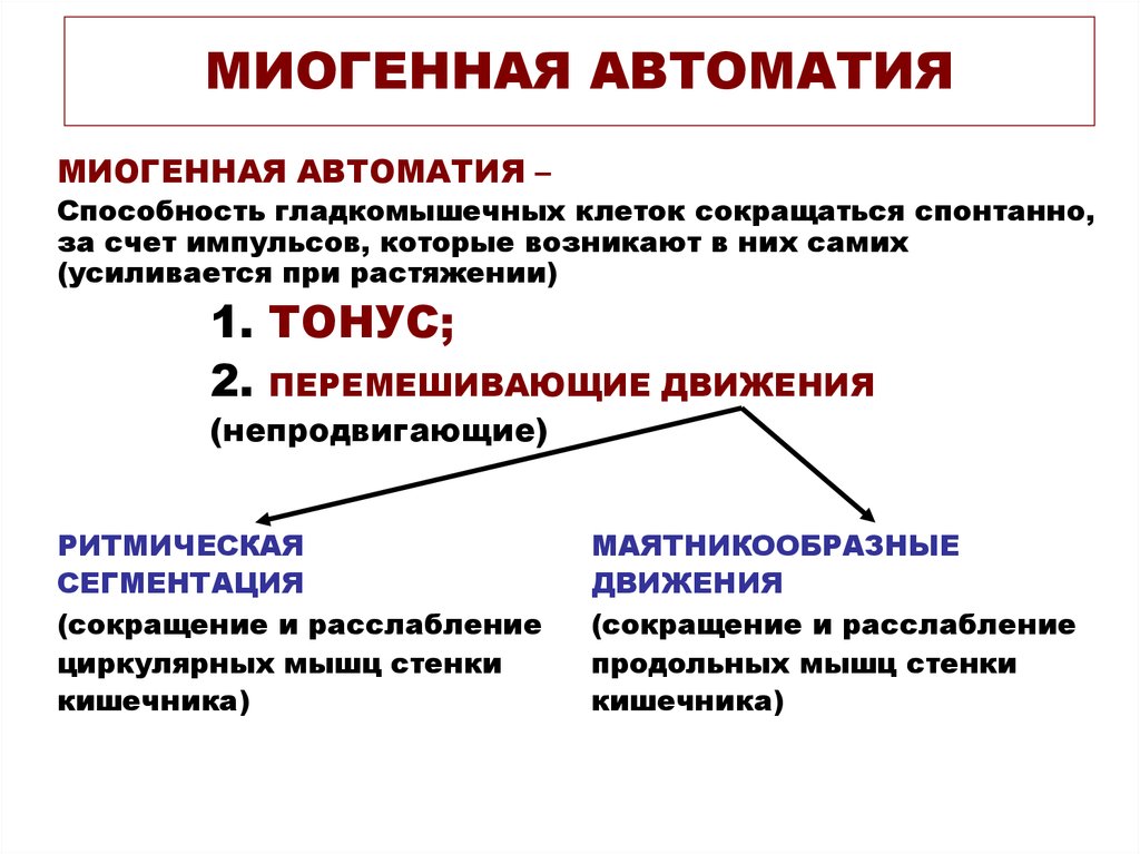 За счет чего. Миогенная автоматия. Автоматия кишечника. Миогенная теория автоматии сердца. Миогенная природа автоматии.