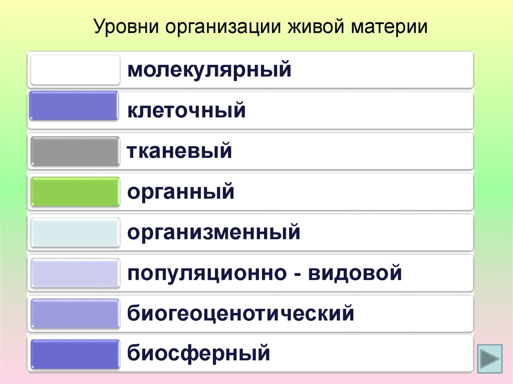 Уровни организации живой природы нервная