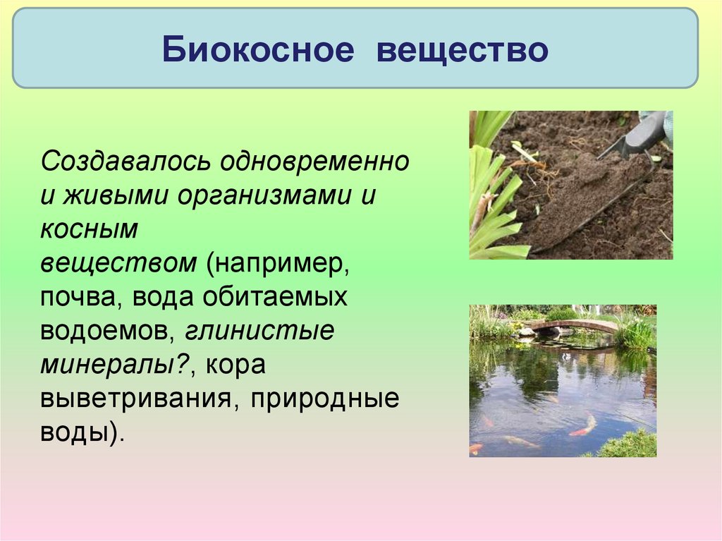 Почва какое вещество биосферы. Биокосные вещества биосферы. Биокосное вещество биосферы. Юилеосное вещество. Почва биокосное вещество.