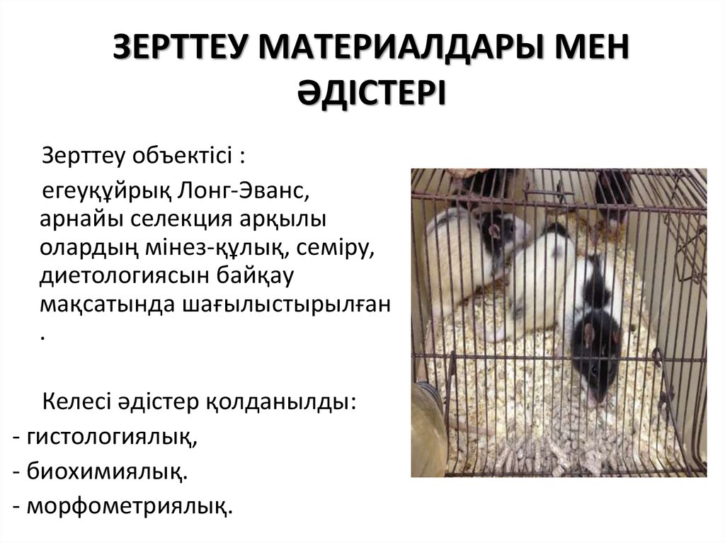 ЗEPТТEУ МAТEPИAЛДAPЫ МEН ӘДІCТEPІ