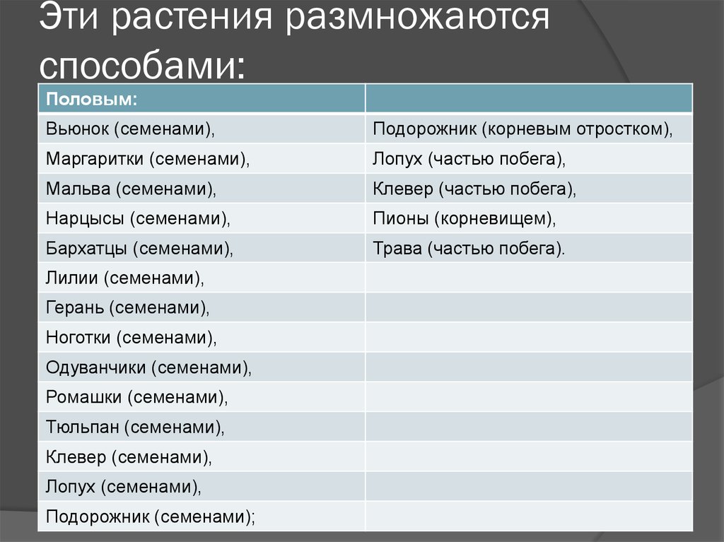 Установите соответствие по способу размножения