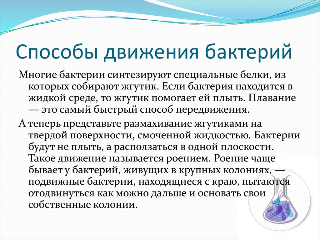 Способы движения бактерий