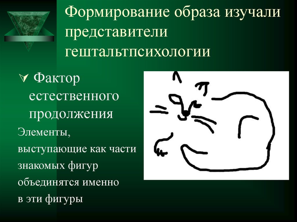 Воспитание образами. Формирование образа. Память в гештальтпсихологии. Фактор хорошего продолжения в гештальтпсихологии. Член образ развития.