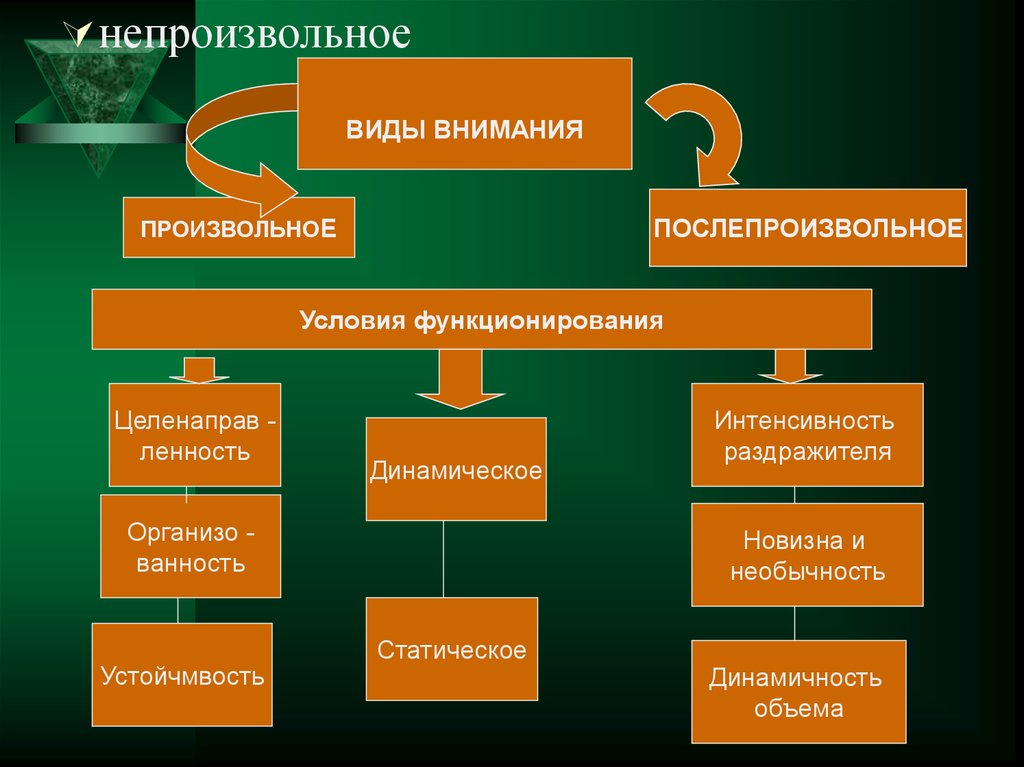 Процесс бывает. Произвольные и непроизвольные процессы. Произвольные и непроизвольные Познавательные процессы. Непроизвольные психические процессы. Произвольные и непроизвольные психические процессы.