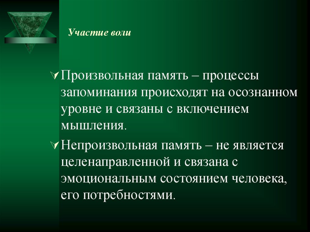 Вид памяти включающий процессы запоминания