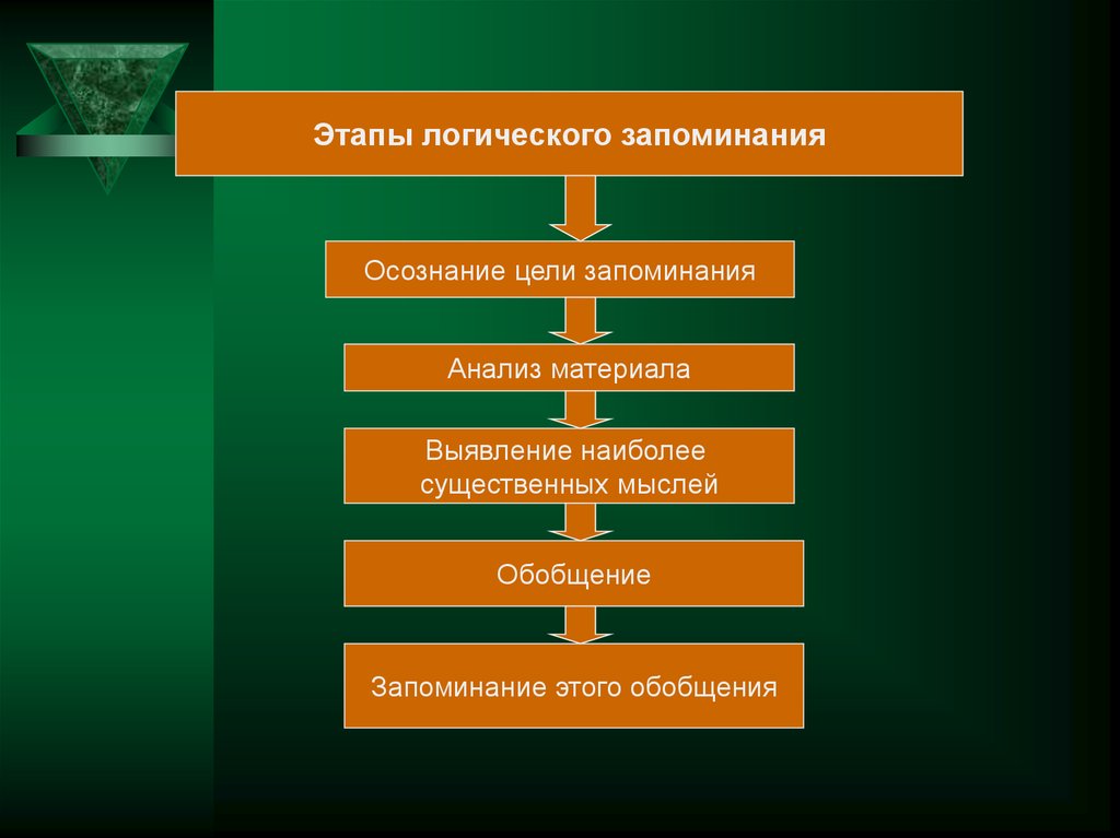 Цели запоминания. Этапы запоминания в психологии. Этапы логического запоминания. Этапы логического запоминания схема. Память этапы запоминания.