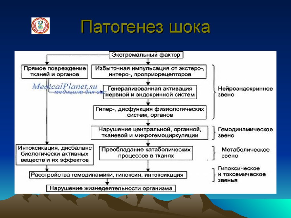 Презентация шок патанатомия