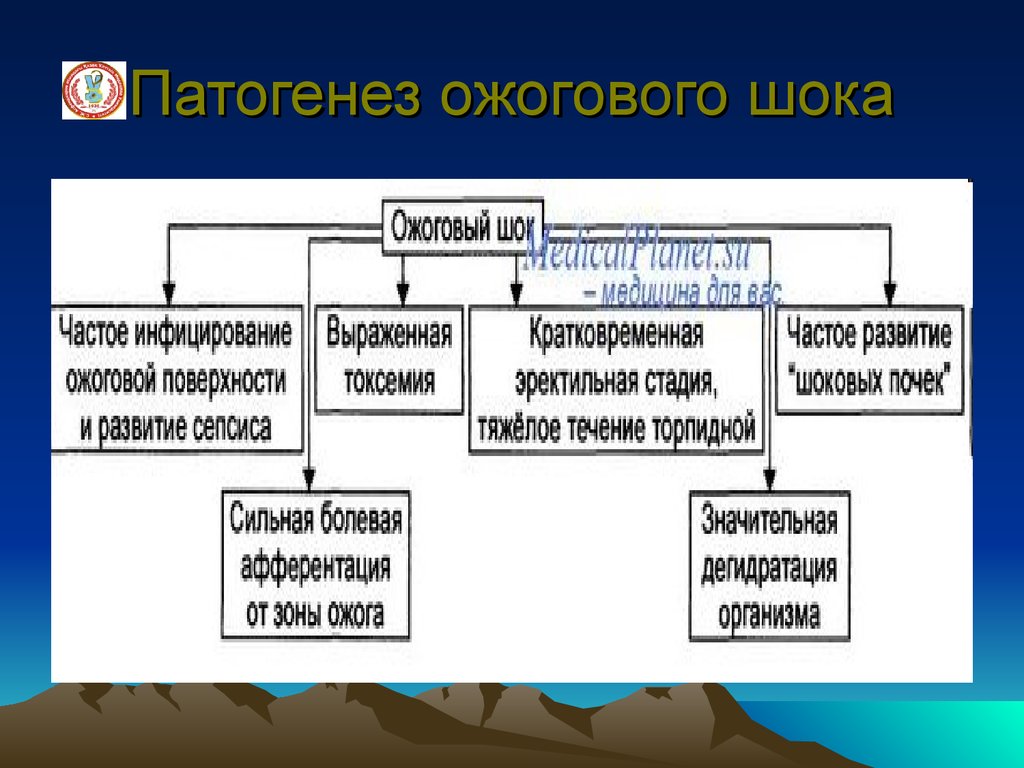 Ожоговый шок патогенез схема