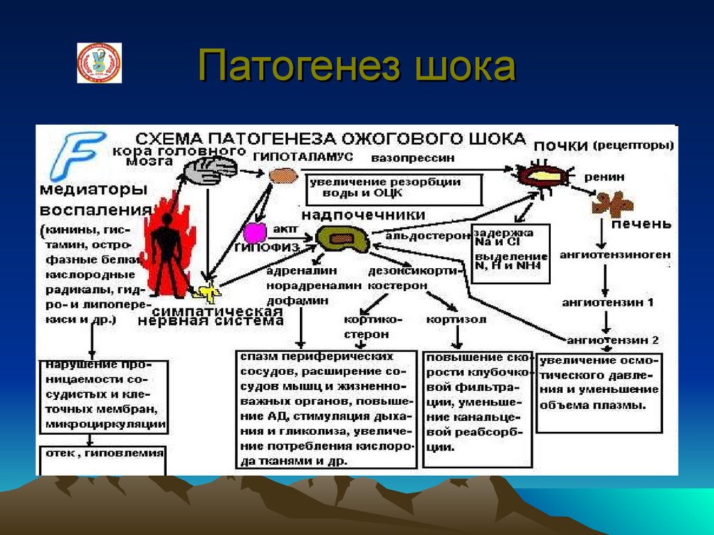 Патогенез клиническая картина