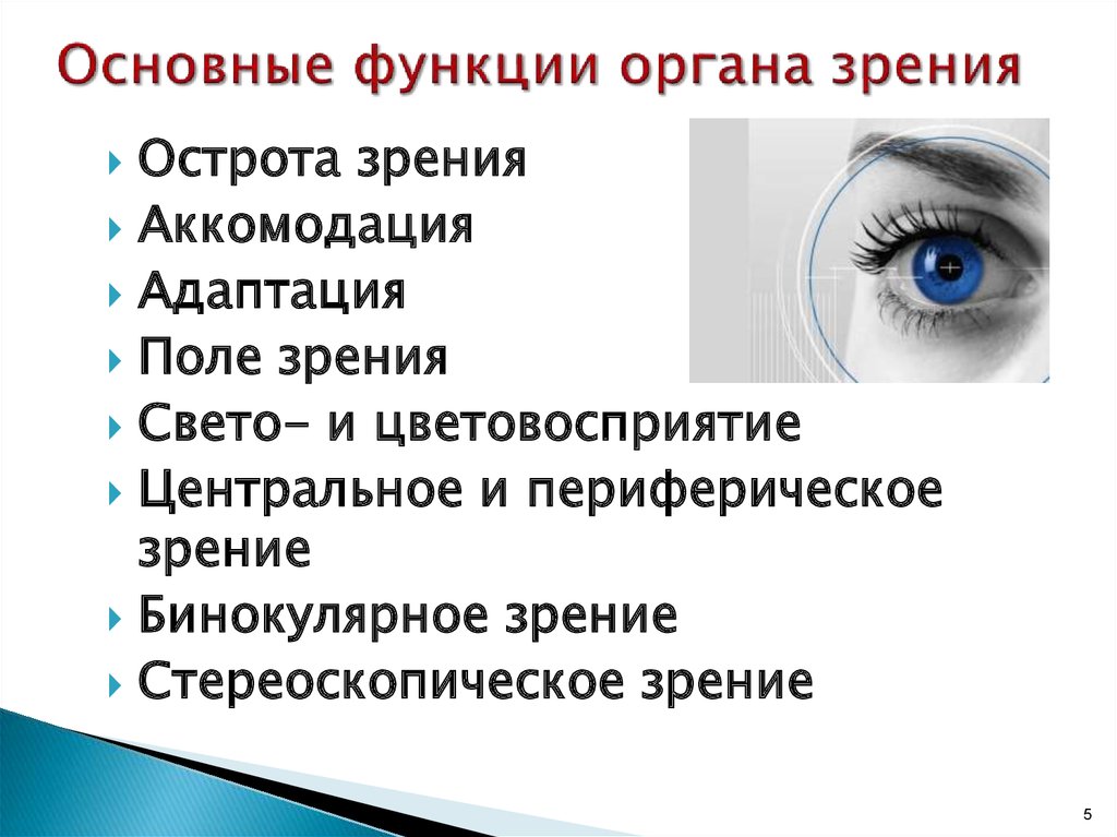 Зрение человека функции. Функции органа зрения. Функции органатзрения. Функции органа зрения офтальмология. Основная функция органа зрения.