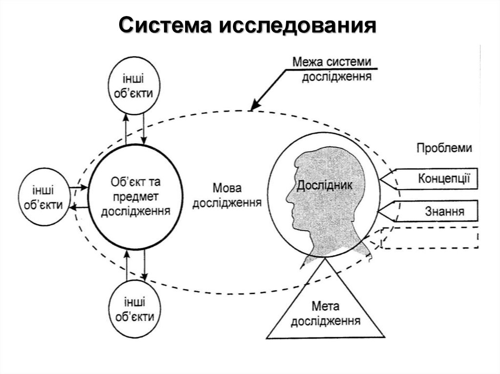 План политическое познание