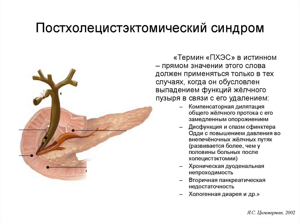 Диарея после удаления желчного. Постхолецистэктомический синдром симптомы. Постхолецистэктомический синдром патогенез. Постхолецистэктомический синдром клиника. Постхолецистэктомический синдром клинические проявления.