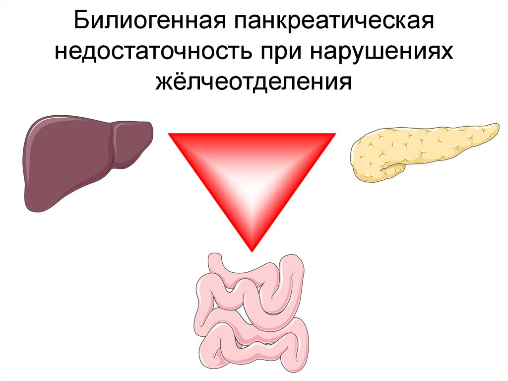 Панкреатическая недостаточность у детей презентация