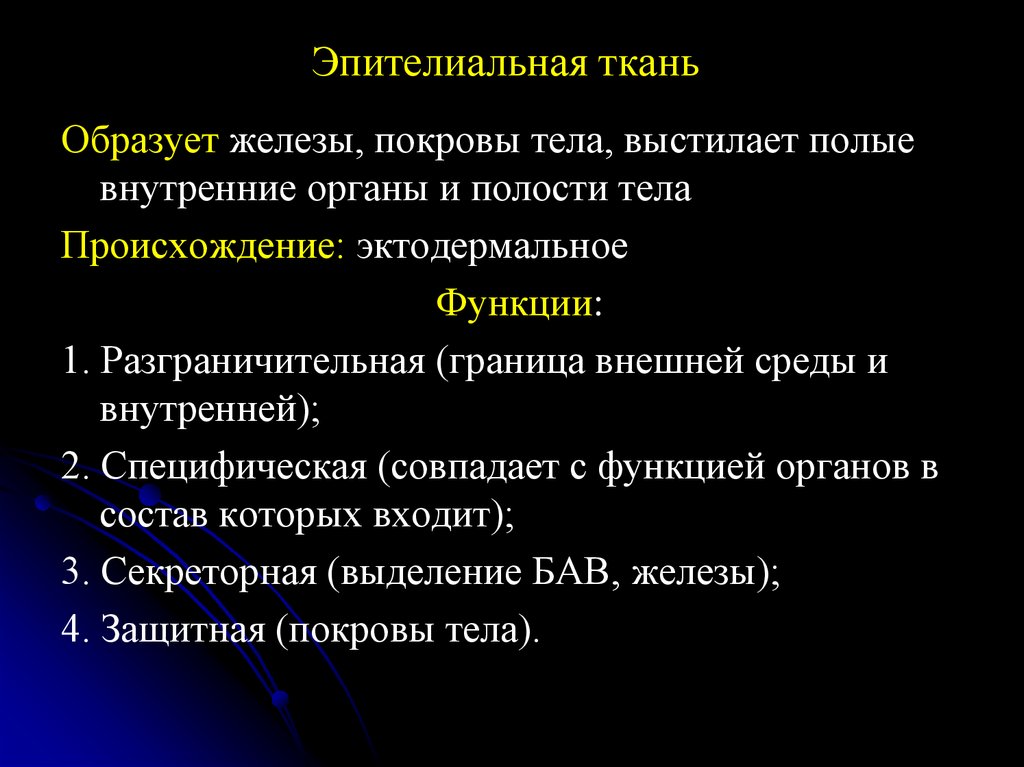 Происхождение тканей. Происхождение эпителиальной ткани. Эпителиальная ткань образует. Функции полости тела. Происхождение эпитплиальнойткани.