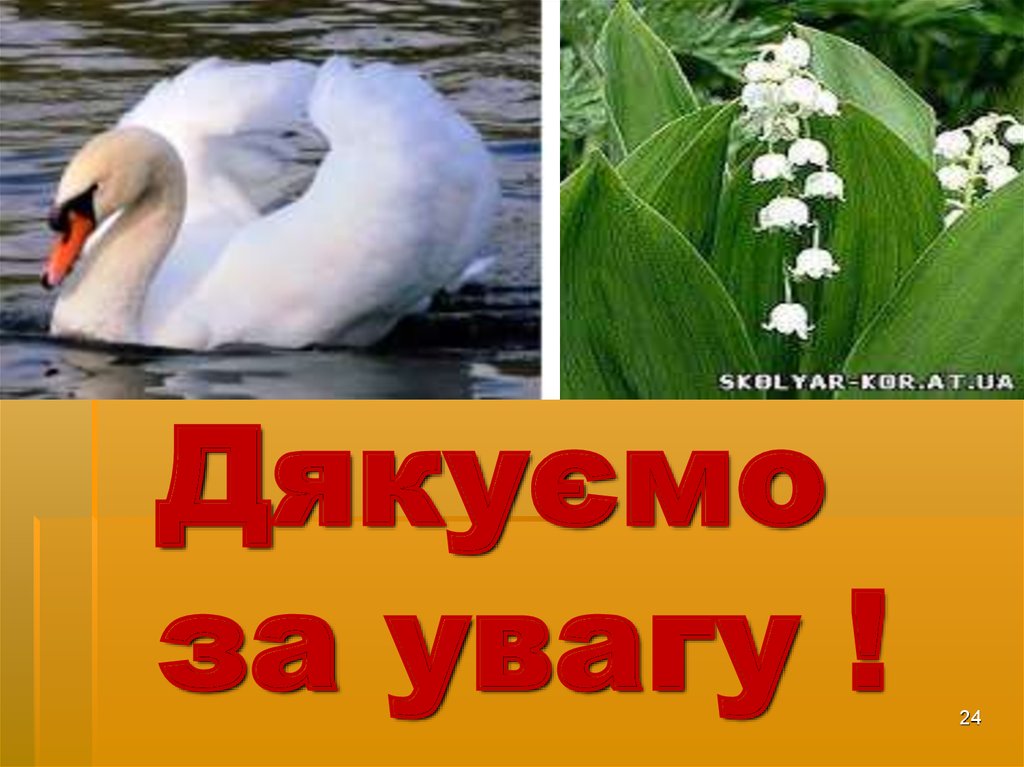Дякуємо за увагу !