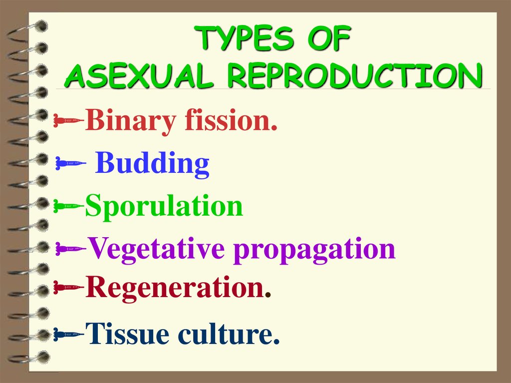 What Is One Advantage Of Sexual Reproduction Over Asexual Reproduction