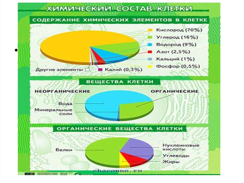 Химические диаграммы. Химический состав растений. Органические и неорганические вещества в растениях. Соотношение веществ в клетке. Химический элементный состав растений.