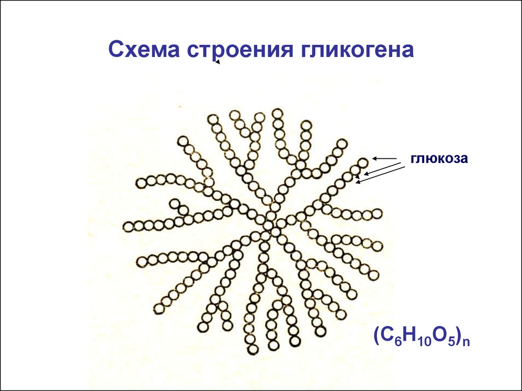 Схема строения n