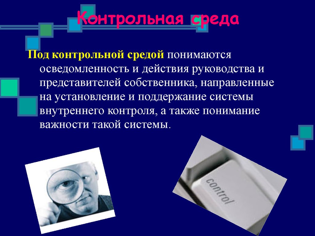 Под средой. Контрольная среда. Элементы контрольной среды. Контрольная среда внутреннего контроля. Контрольная среда это в аудите.