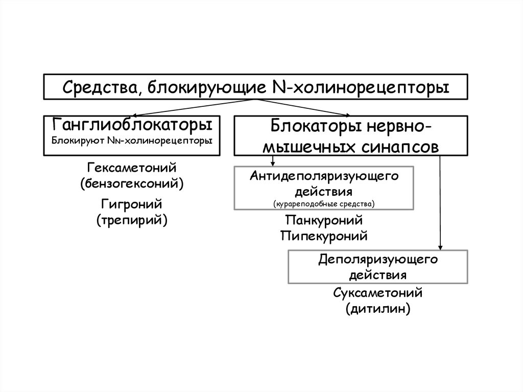 Блокируют средства. Средства блокирующие холинорецепторы. Препараты блокирующие н холинорецепторы. Гексаметоний блокирует холинорецепторы. Ганглиоблокаторы блокируют н-холинорецепторы.