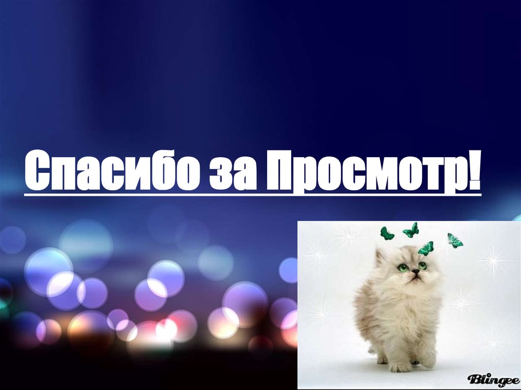 Спасибо за Просмотр!