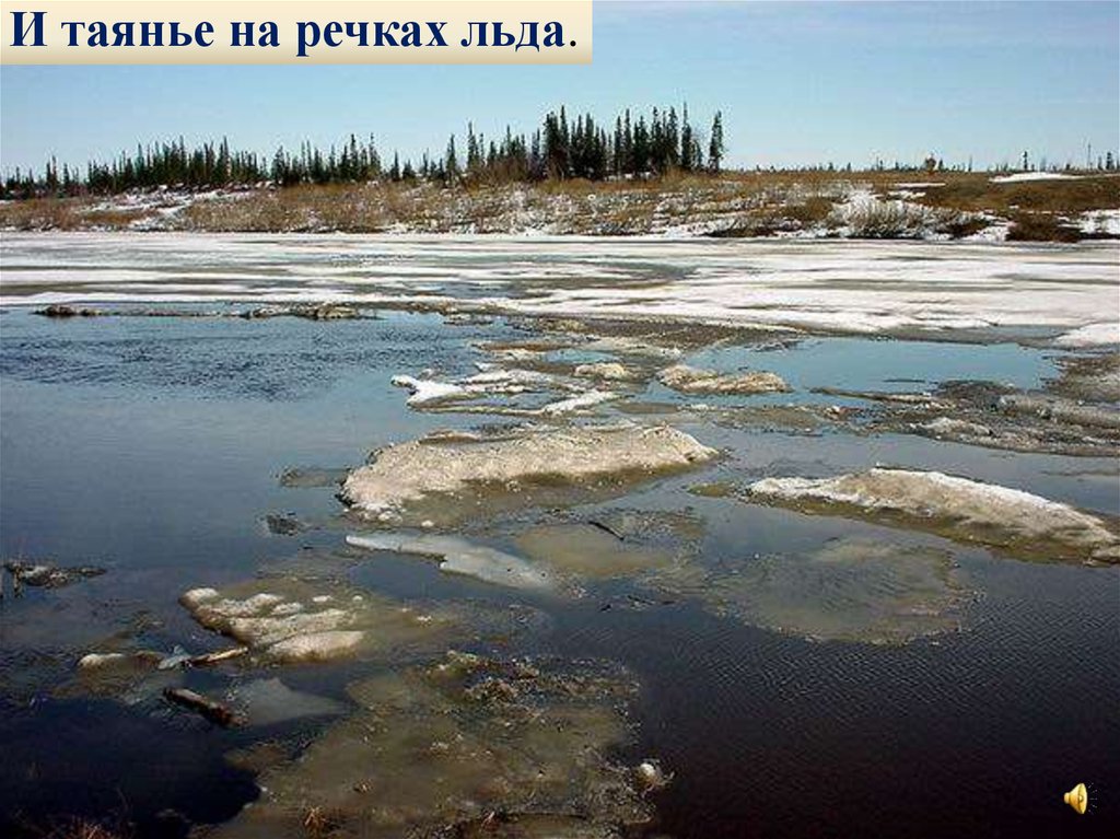 Таяние льда на водоемах. Таяние льда на реке. Лед на реке. Лед на реке весной. Весенний лед на реке.