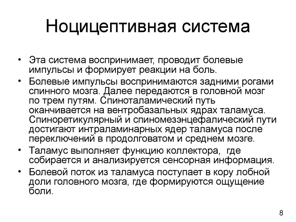 Ноцицептивная система. Ноцицептивной системы. Ноцицептивная и антиноцицептивная системы. Ноцицептивные системы это. Анатомия ноцицептивной системы.