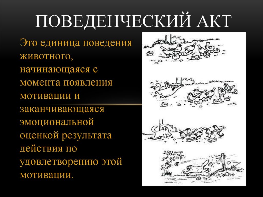 С момента появления. Поведенческий акт. Пример поведенческого акта. Структура поведенческого акта. Поведенческий акт это в психологии.