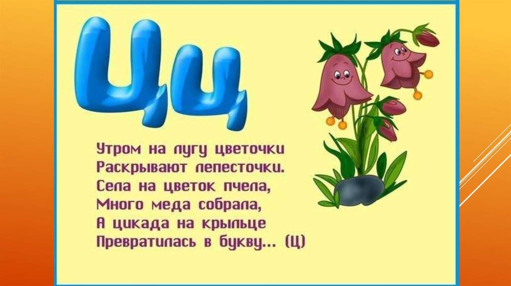 Буква ц стих 1 класс. Стих про букву ц. Стих про букву а. Загадка про букву ц. Стишки про букву ц.