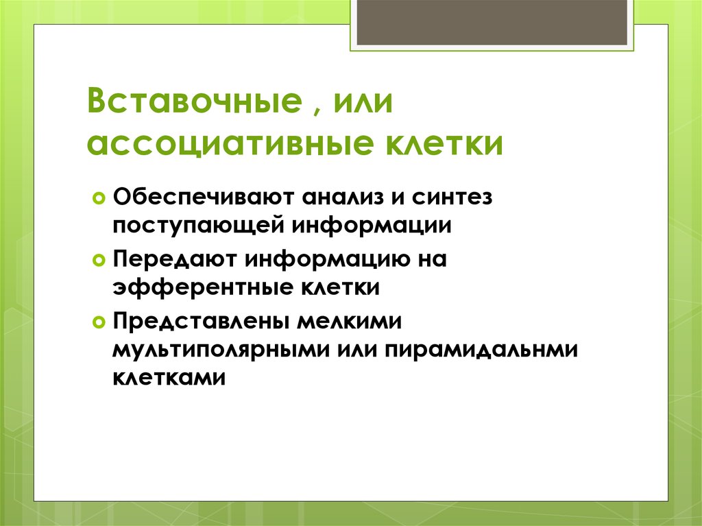 Синтез поступающей информации. Вставочные клетки. Ассоциативные клетки.