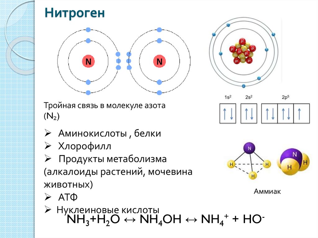 Схема строения атома o2 - 92 фото