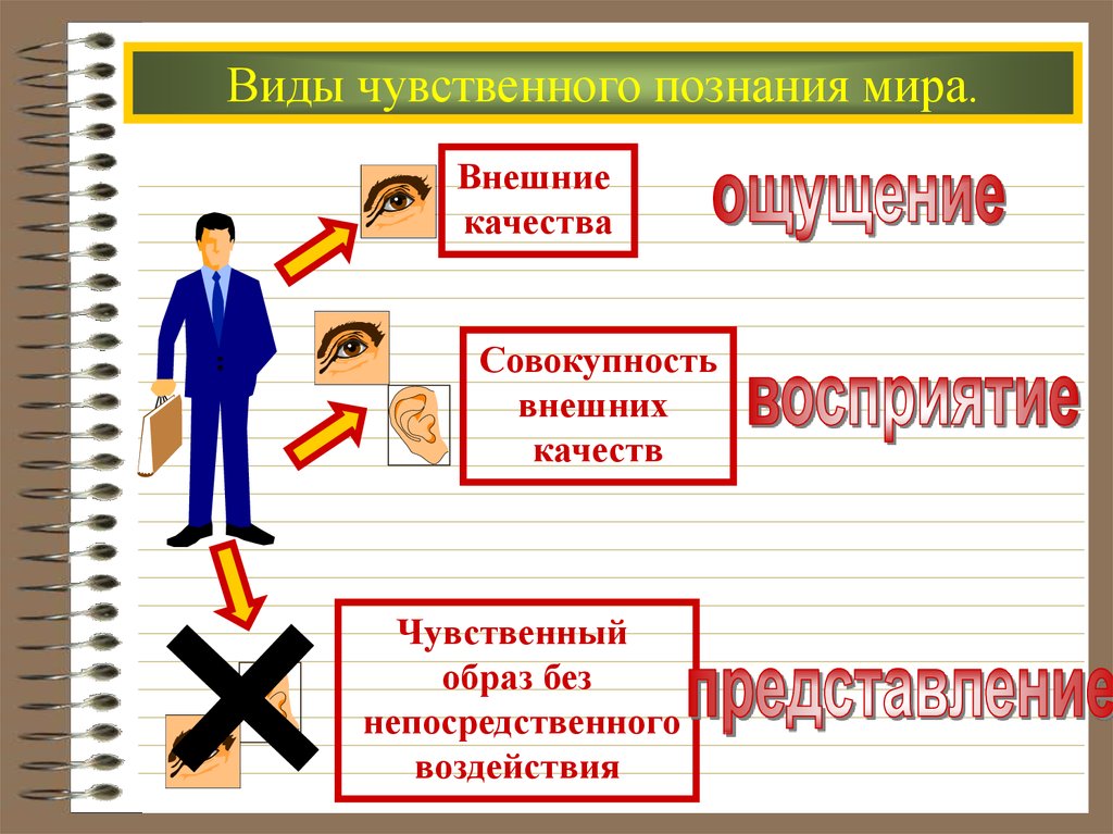 Ощущение познание представление. Внешние качества человека. Внешние и внутренние качества человека. Чувственное восприятие мира. Познавательная деятельность чувственное познание.