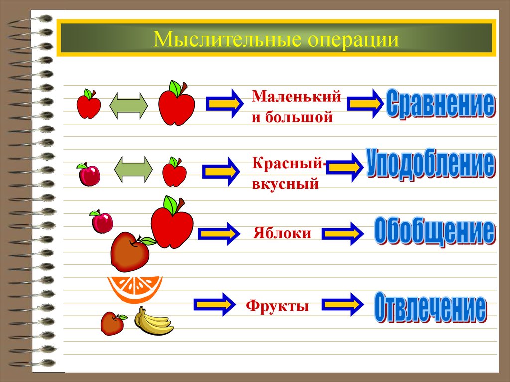 Формы мыслительных операций