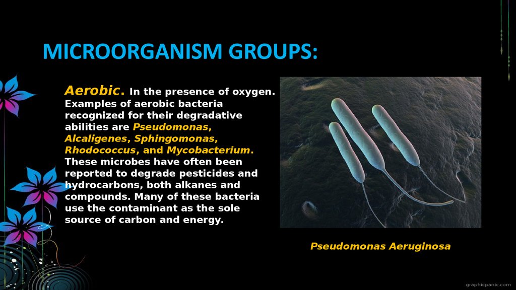 Bioremediation - презентация онлайн