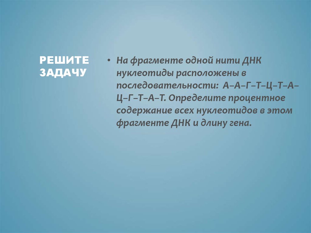 На фрагменте одной цепи днк нуклеотиды расположены в последовательности аагтцтацгтат нарисуйте схему