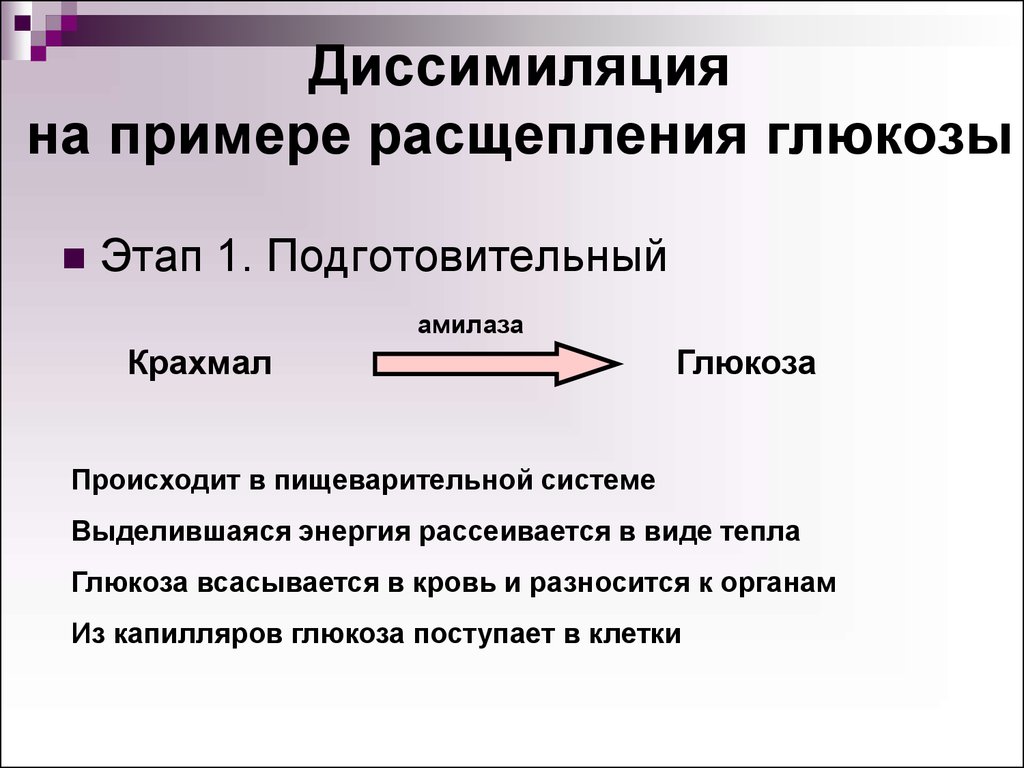 Этапы расщепления. Охарактеризуйте этапы диссимиляции на примере расщепления Глюкозы. Этапы диссимиляции на примере расщепления Глюкозы. Подготовительный этап диссимиляции. Этапы диссимиляции в биологии.