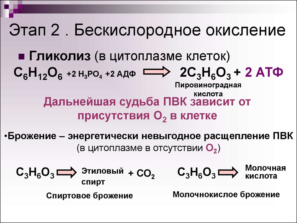 Реакция расщепления происходит в. Молочнокислое брожение Глюкозы с АТФ. Формула бескислородного расщепления Глюкозы. Реакция кислородного расщепления Глюкозы. Безкислодное окисление.