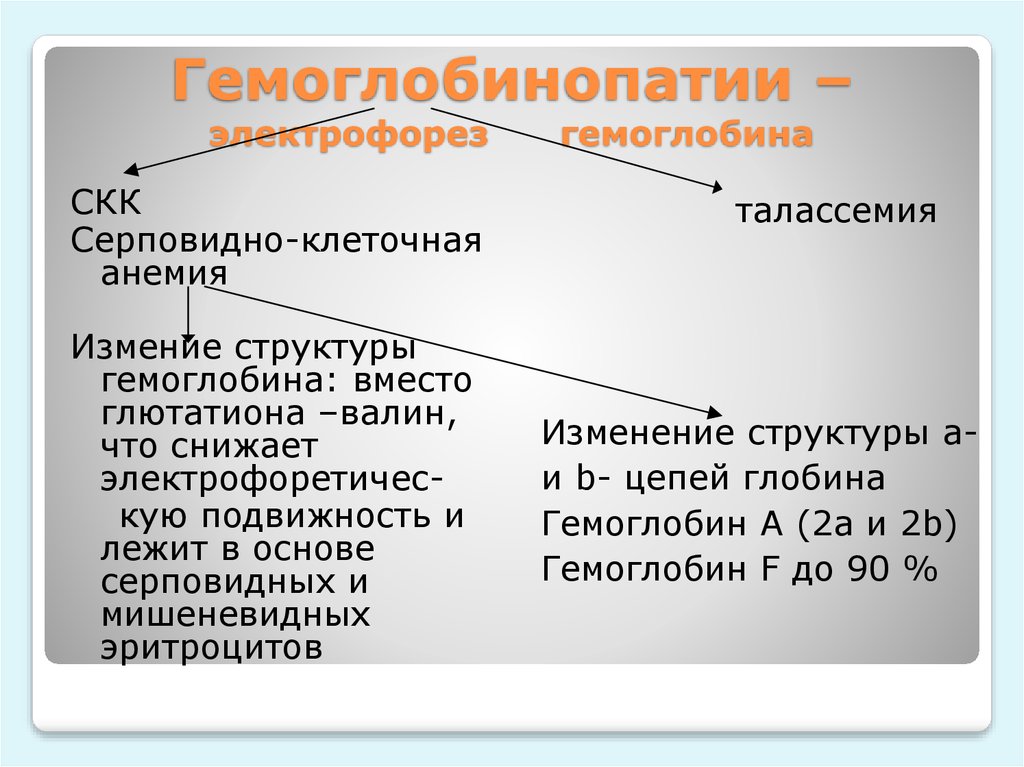 Анемия гемоглобинопатия