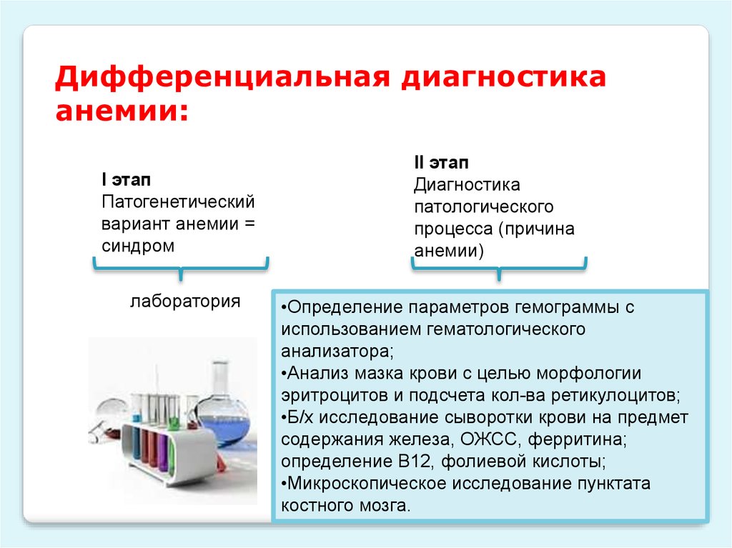 Диагностика анемии. Методы диагностики анемии. Дифференциальный диагноз анемического синдрома. Дифференциальная диагностика при анемическом синдроме. Дифференциальная диагностика анемий синдромы.