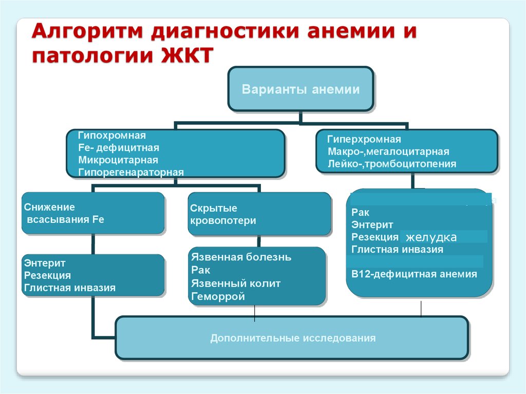 План обследования при железодефицитной анемии