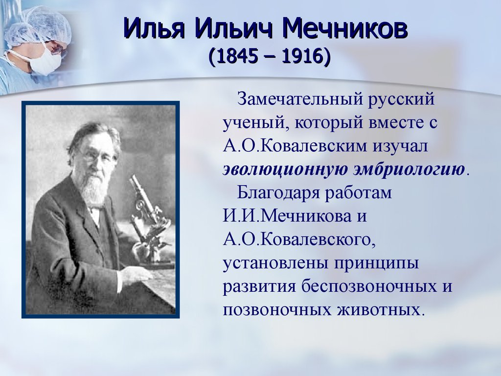 Что открыл мечников в биологии. Ильи Ильича Мечникова (1845—1916). Мечников и.и. (1845-1916).