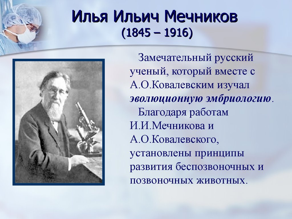 Открыт и и мечниковым русским ученым. Ильи Ильича Мечникова (1845—1916). Мечников и.и. (1845-1916).