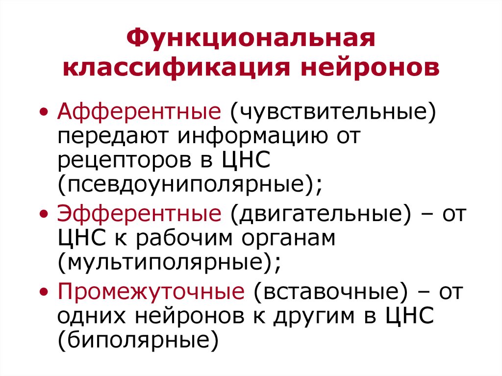 Классификация по по функциональному признаку. Классификация нейронов. Морфологическая и функциональная классификация нейронов. Функциональная классификация нервных клеток. Функциональные виды нейронов.