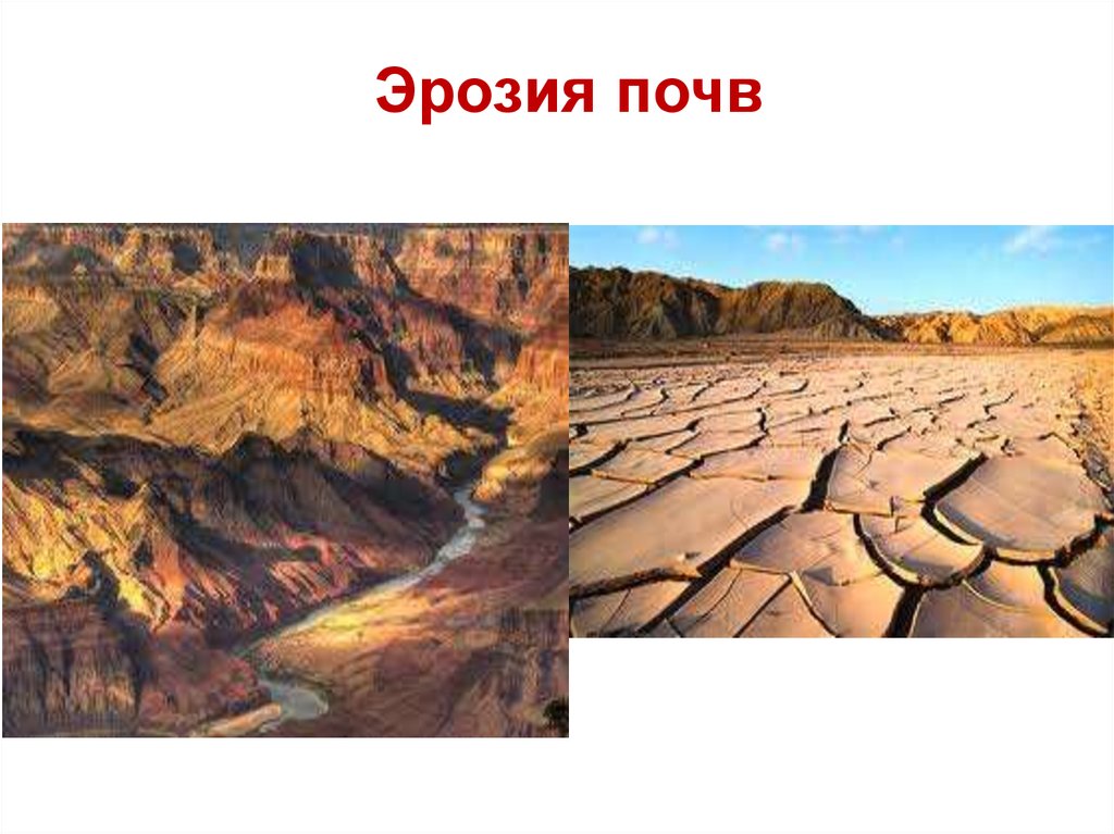 Подвергаются эрозии. Эрозия грунтов. Эрозия почвы. Эрозия это в географии.