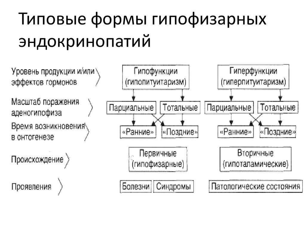 Что такое эндокринопатия. Типовые формы эндокринопатий первично-железистые. Классификация типовых форм гипофизарных эндокринопатий. Патофизиология нервной системы эндокринопатии. Типовые механизмы развития эндокринопатий.