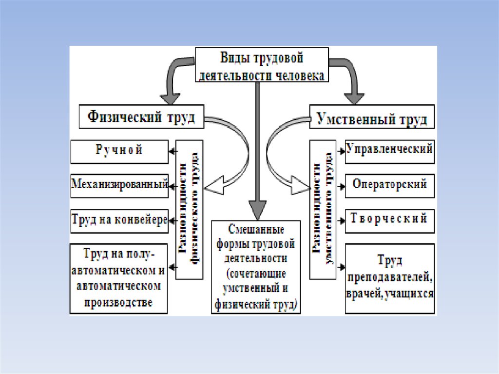 Условия трудовой деятельности. Виды трудовой деятельности и их особенности.. Виды трудовой деятельности человека. Схема виды трудовой деятельности. Основные виды трудовой деятельности человека:.